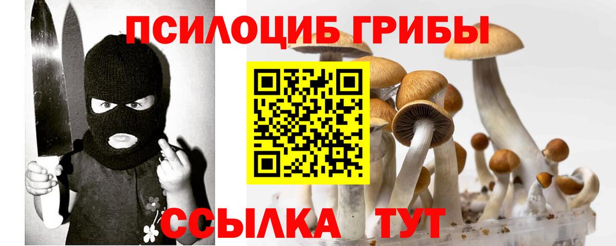 Каменск-Уральский  Псилоцибиновые грибы MAGIC MUSHROOMS  Вход с VPN 